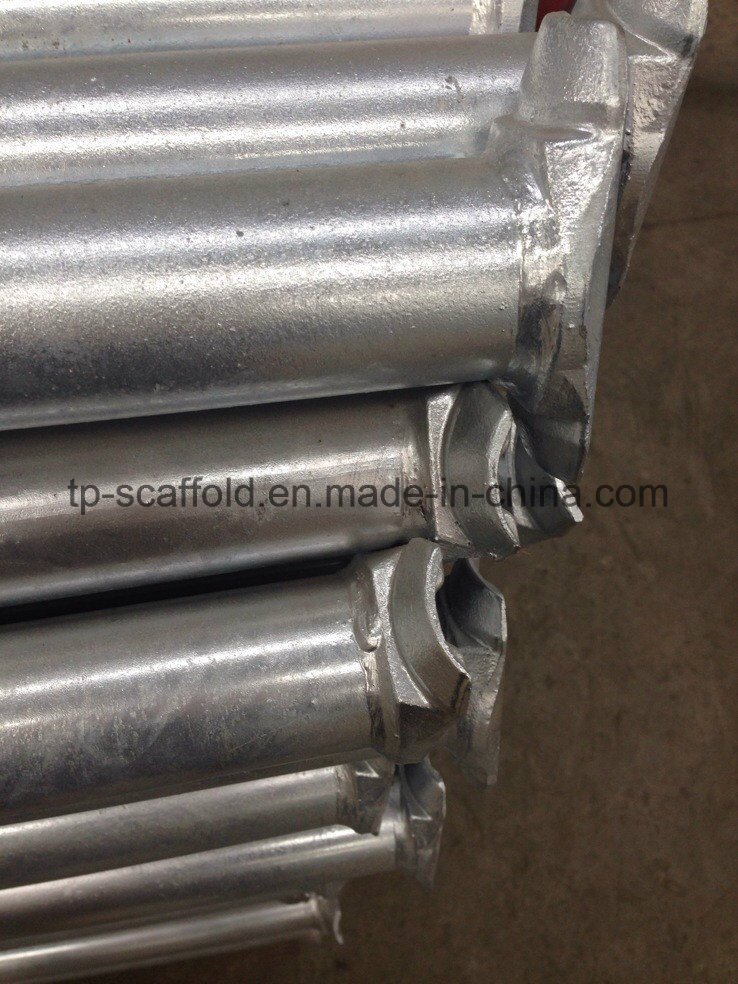 Hot DIP Galvanized Construction Material Steel Cuplock Scaffolding Ledger/Horizontal